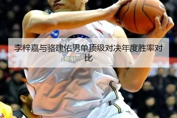 李梓嘉与骆建佑男单顶级对决年度胜率对比